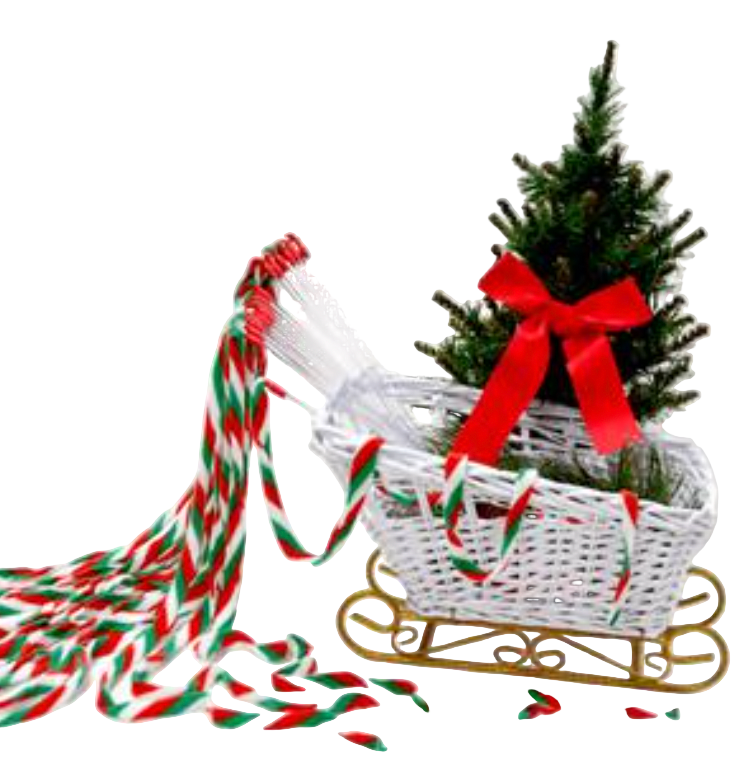 Cat Dancer "Cat Charmer Interactive Cat Toy, Stocking Stuffer