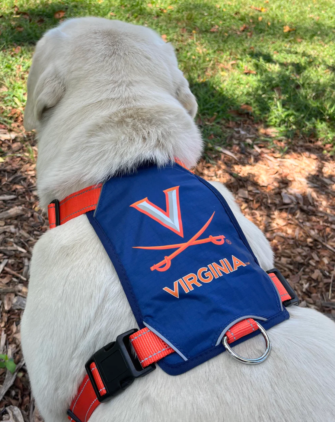 BayDog Virginia Cavaliers Dog Harness (S, M, L, XL) LIMITED EDITION, LIMITED QUANTITIES!