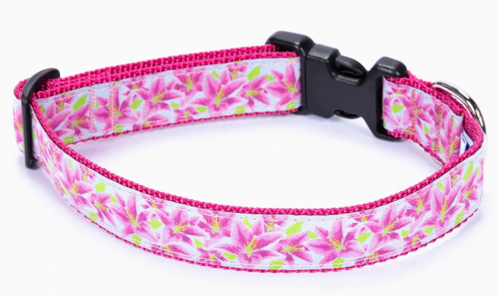 Preston Collars, Lily