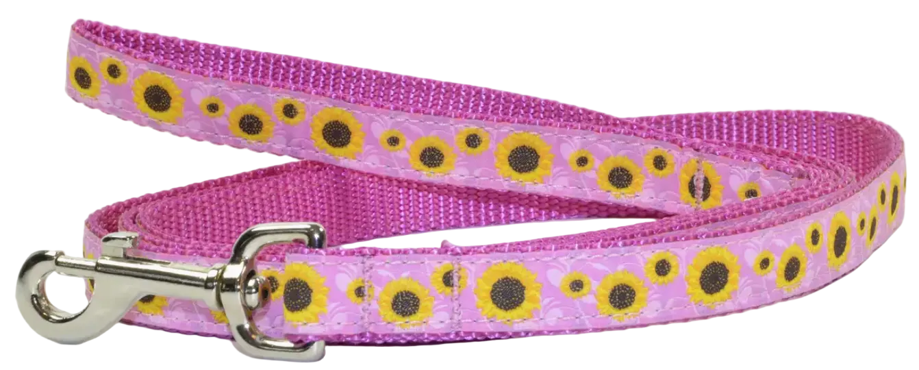 Preston Collars, Sunflower