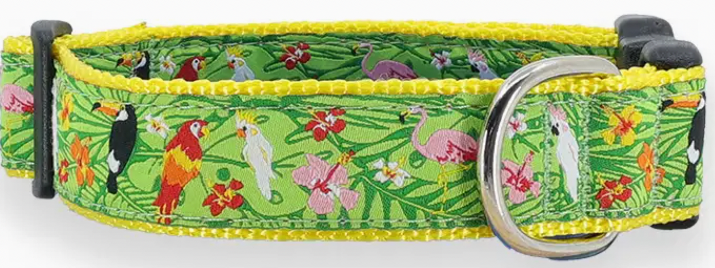 Preston Collars, Tropical