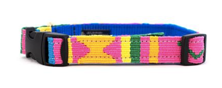 A Tail We Could Wag Collar, Seasons Spring pattern