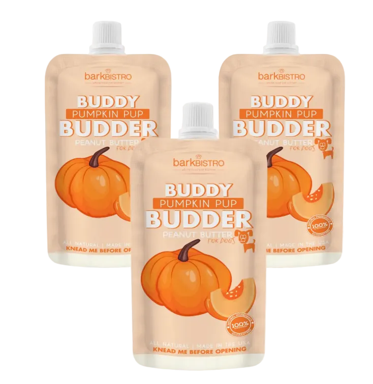Bark Bistro Buddy Budder 4 oz. squeeze packs, Punpkin Pup