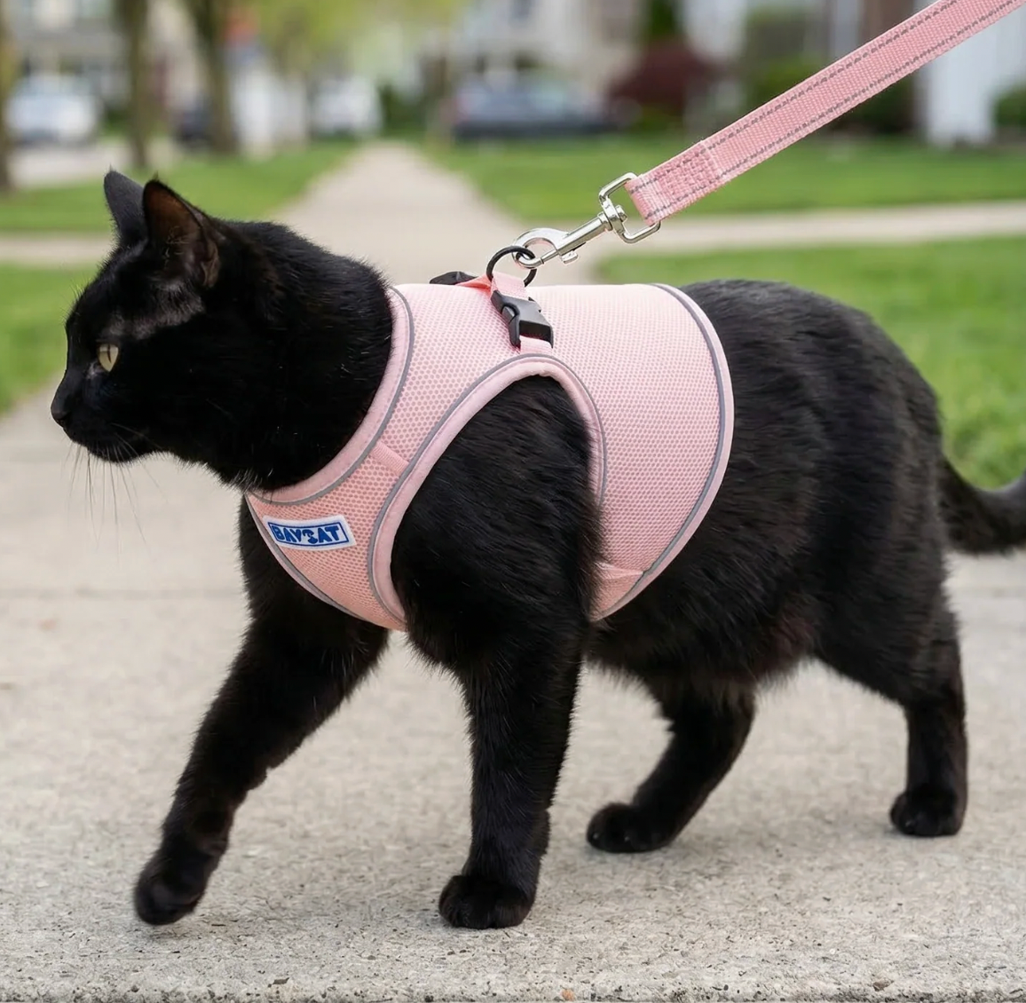 BayDog "BayCat" Cat Harness with 6 ft. Leash "Chesapeake Rose"