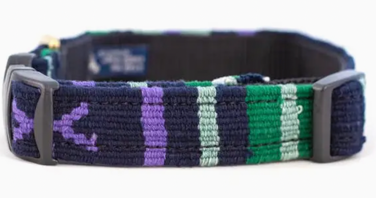 A Tail We Could Wag Collar, Sun Valley Night pattern