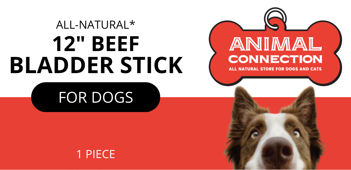 Animal Connection's Beef Bladder Sticks, 12"