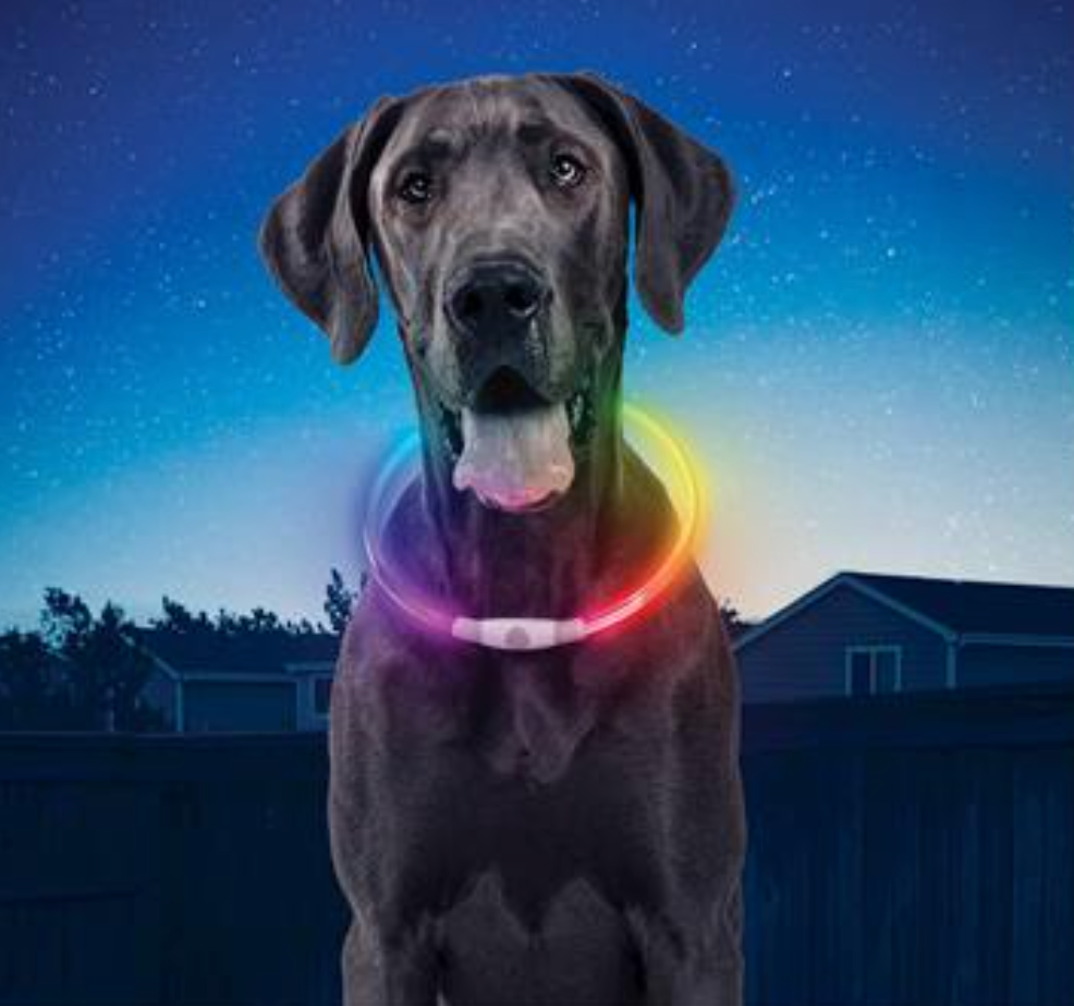 Nite Ize "Nite Howl" Rechargeable LED Safety Necklace, MedLarge/Large Dog
