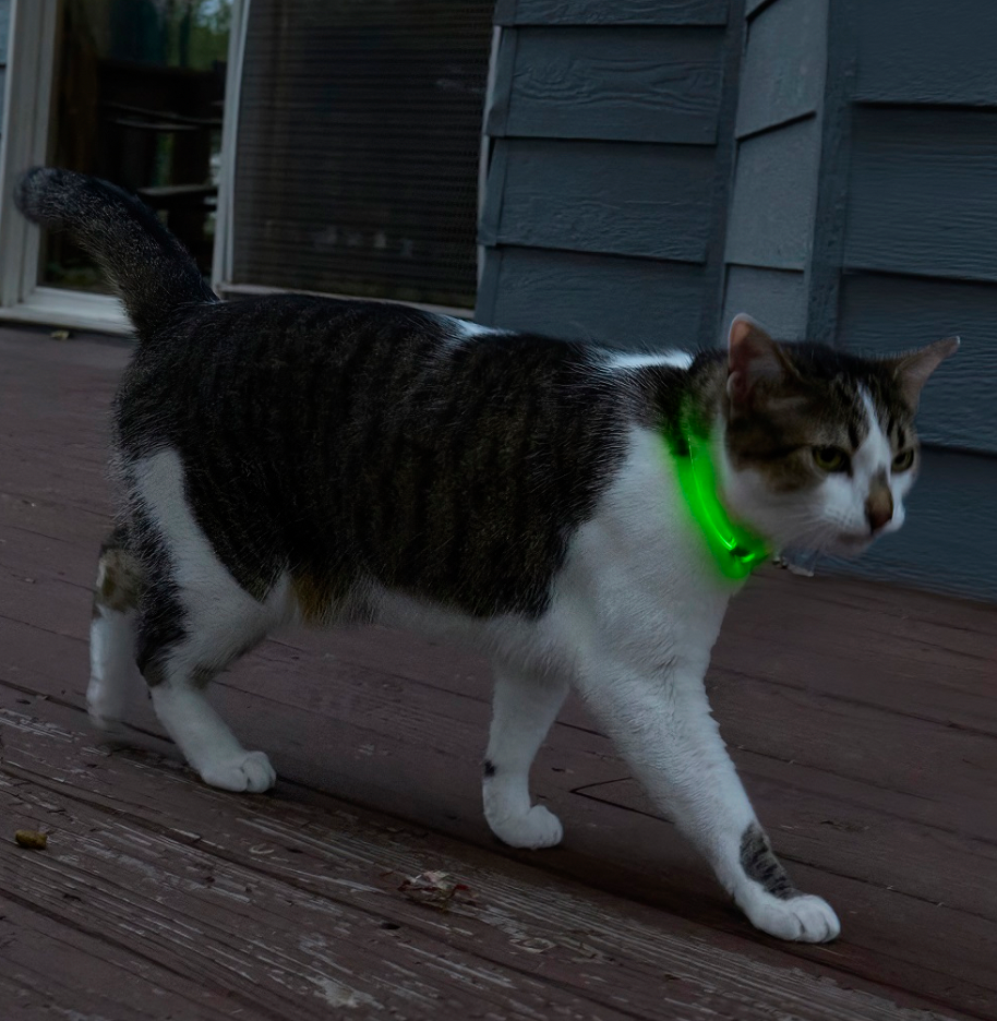 Nite Ize "Nite Meow" Rechargeable LED Safety Necklace, Cats