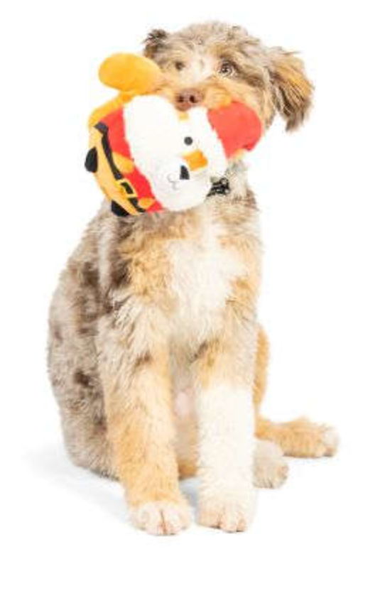 Huxley & Kent Pudgies Santa Squirrel Holiday Dog Toy