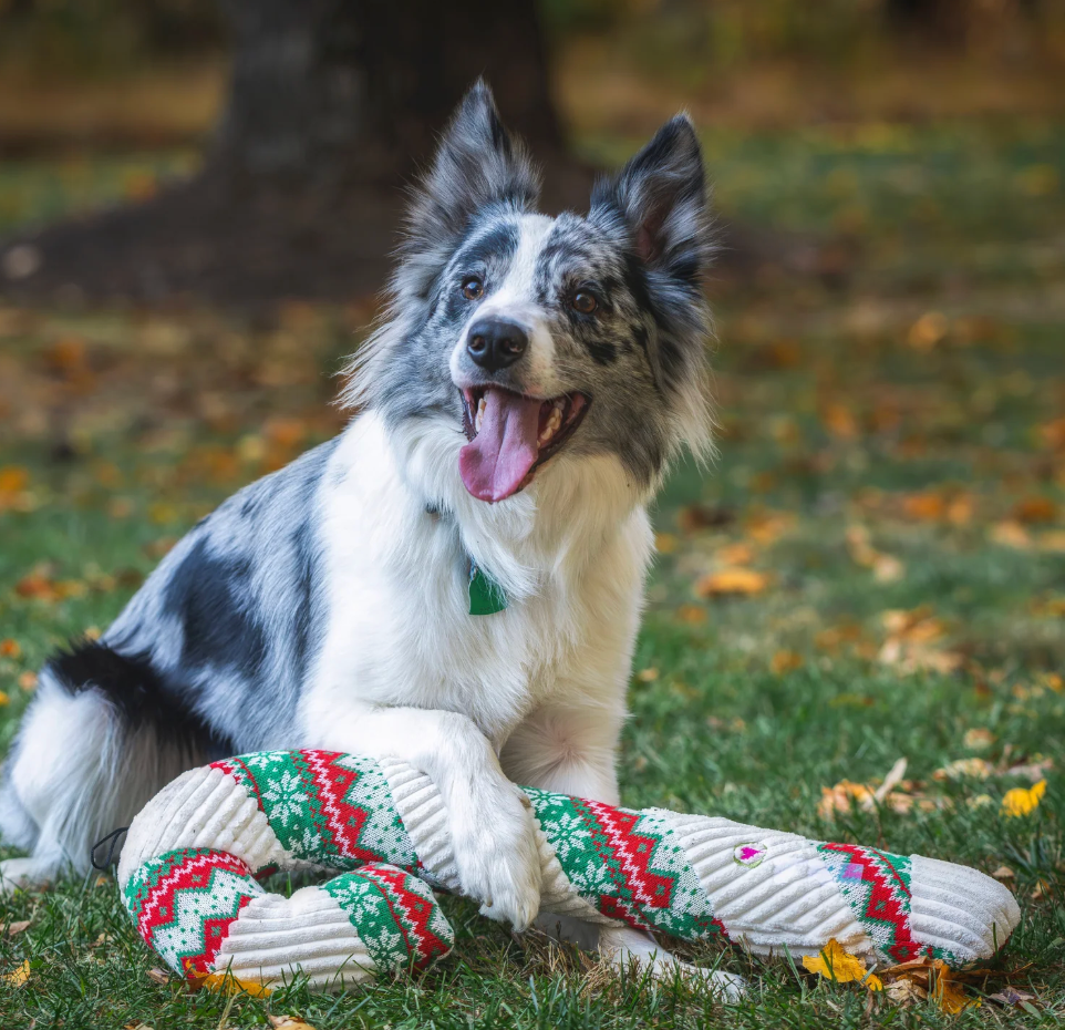Hugglehounds Wintergreen Candy Cane Plush Dog Toy, 2 ft. Super Size