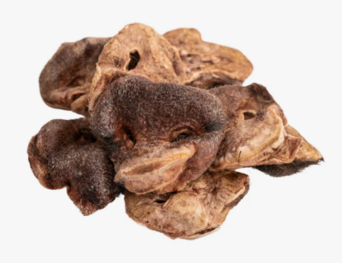 Momentum Carnivore Nutrition Pig Snouts Dog Treats