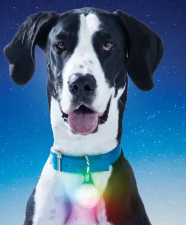 Nite Ize SPOTLIT® LED Clip On Disc-O XL Collar Light