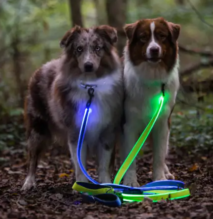 Nite Ize NIGHT DOG® Rechargable LED Leash, 3 colors