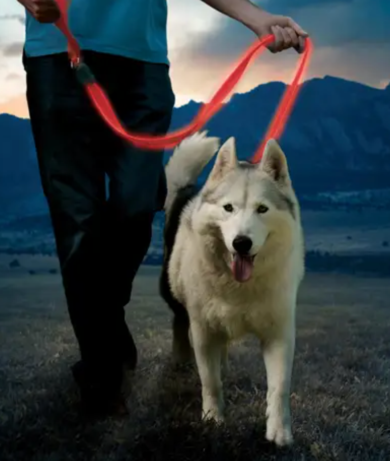 Nite Ize NIGHT DOG® Rechargable LED Leash, 3 colors