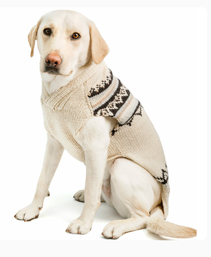 Chilly Dog Alpaca Cream Wyatt Dog Sweater (S, M, L)
