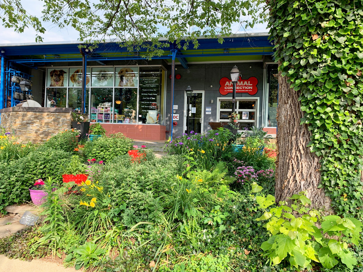 Pet Food Supply Store Charlottesville VA Animal Connection — Animal