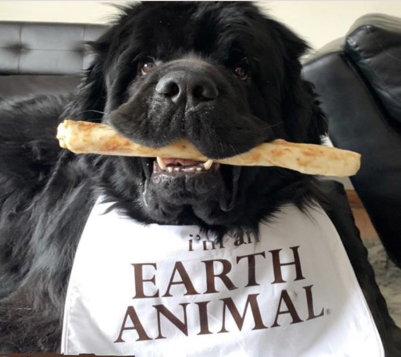 Earth animal chews hot sale