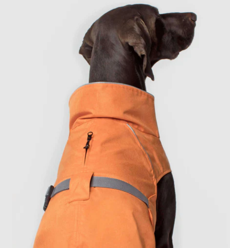 Canada Pooch Expedition Raincoat For Dogs