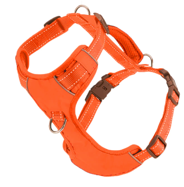 Bay sales dog harness