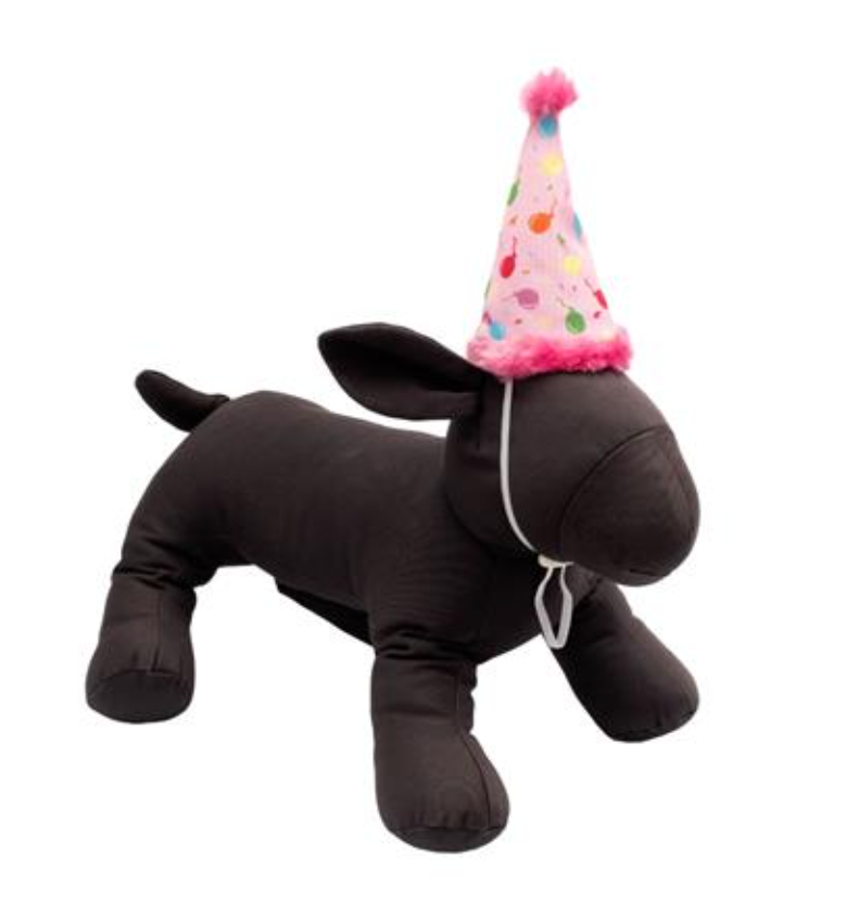 The Worthy Dog Birthday Party Hat (that's also a toy!) - Pink