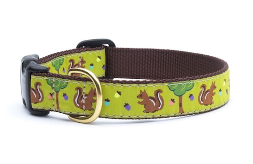 Up Country "Nuts Squirrel" Dog Collar