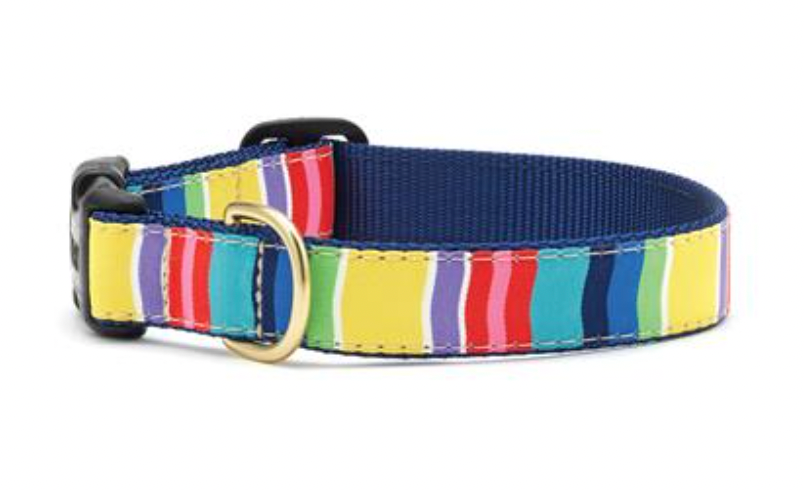Up Country "Colorful Stripe" Dog Collar