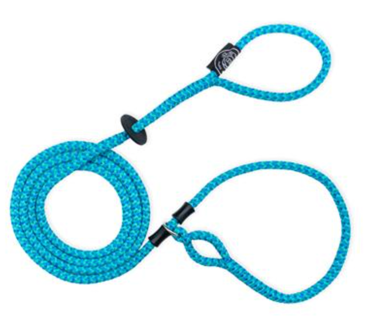 No pull sales lead for dogs